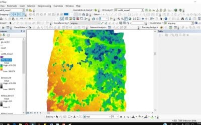 Kenya Forest Project