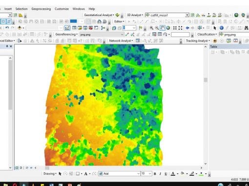 Kenya Forest Project