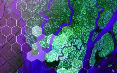 GIS software used by professionals