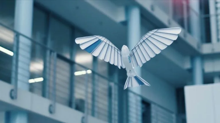 robotic drone