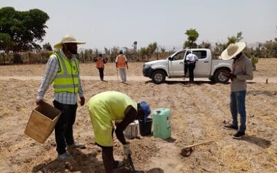 Our Surveying services in Real Estate