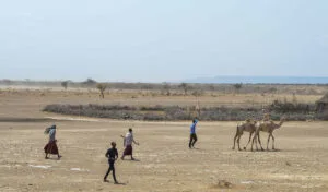 Millions of Nigerians will migrate due to climate change - World Bank