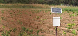 increase crop production