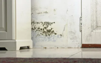 How we carry out damp survey on building structures