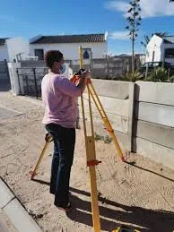 what is a damp survey