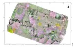 Drone Mapping & Vectorization Of Abu-allied Farm