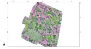 Drone Mapping & Vectorization Of Abu-allied Farm