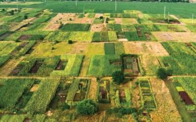 Zoning and Land Use Regulation Using GIS