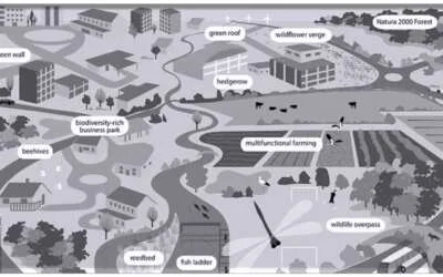Urban Forestry and Green Infrastructure using GIS