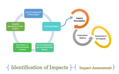 Measuring Anticipated Effects on the Environment of a Proposed Development Project.