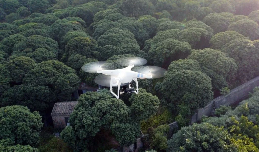 Forest Aerial Surveying