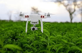 Agriculture