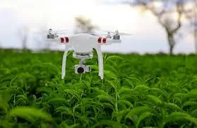 Agriculture