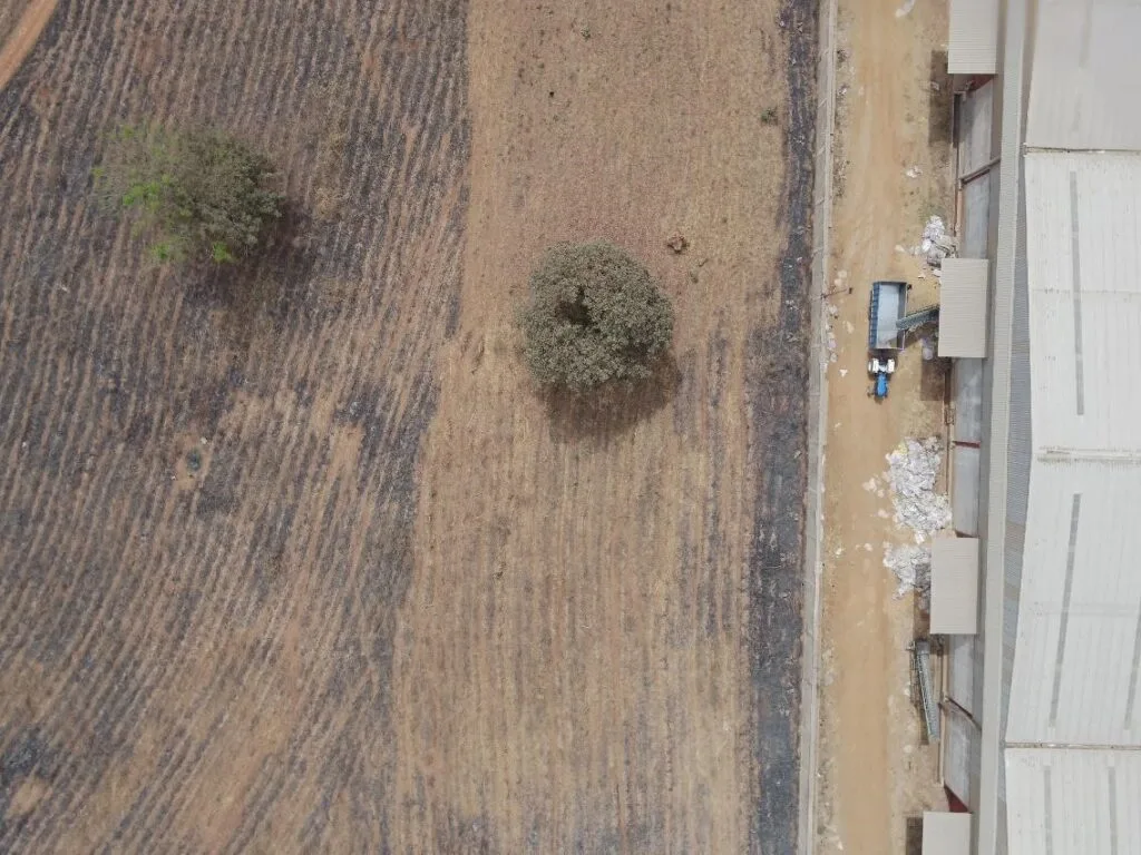 Aerial mapping