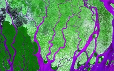 CHOOSING THE RIGHT VEGETATION INDEX FOR YOUR GIS PROJECT