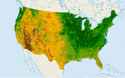 NDVI (Normalized Difference Vegetation Index): What It Is and How to Use It