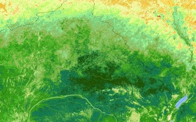 Time Series Analysis of Satellite Imagery Using Google Earth Engine
