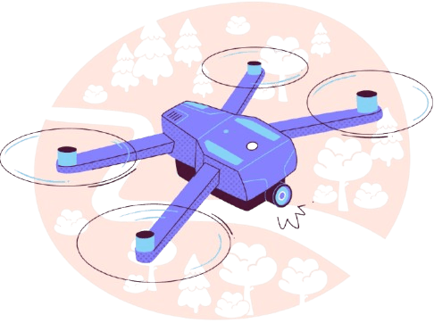 Drone Inspection
