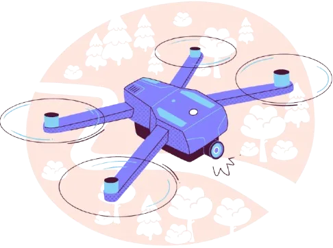 Drone Inspection
