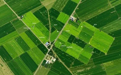 OPTIMIZING AGRICULTURAL PRODUCTIVITY; LAND USE MAPPING FOR MODERN FARMS