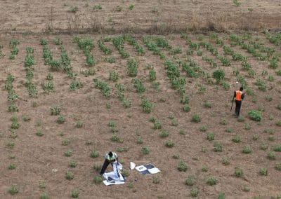 DRONE APPLICATION IN AERIAL SURVEY AND MAPPING: HOW GEOINFOTECH ENHANCED AGRICULTURAL SITE PLANNING IN OSEFA THROUGH GEOSPATIAL TECHNOLOGY