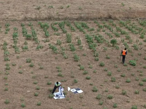 DRONE APPLICATION IN AERIAL SURVEY AND MAPPING: HOW GEOINFOTECH ENHANCED AGRICULTURAL SITE PLANNING IN OSEFA THROUGH GEOSPATIAL TECHNOLOGY