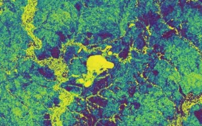 REMOTE SENSING TECHNOLOGY – An Overview