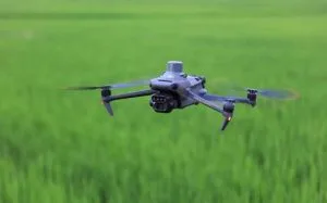 Drone Crop Health Analysis in Nigeria: How Multispectral Imaging, NDVI & NDRE Detect Crop Stress Before Visible Damage