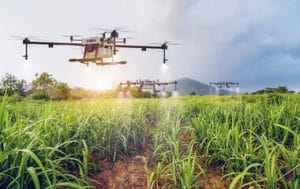 Agricultural Drone Spraying for Rice, Maize, Cassava, Cocoa & Large-Scale Farms in Nigeria