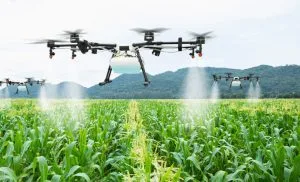 Agricultural Drone Spraying in Nigeria: Pesticide, Herbicide, Fungicide and Fertilizer Application